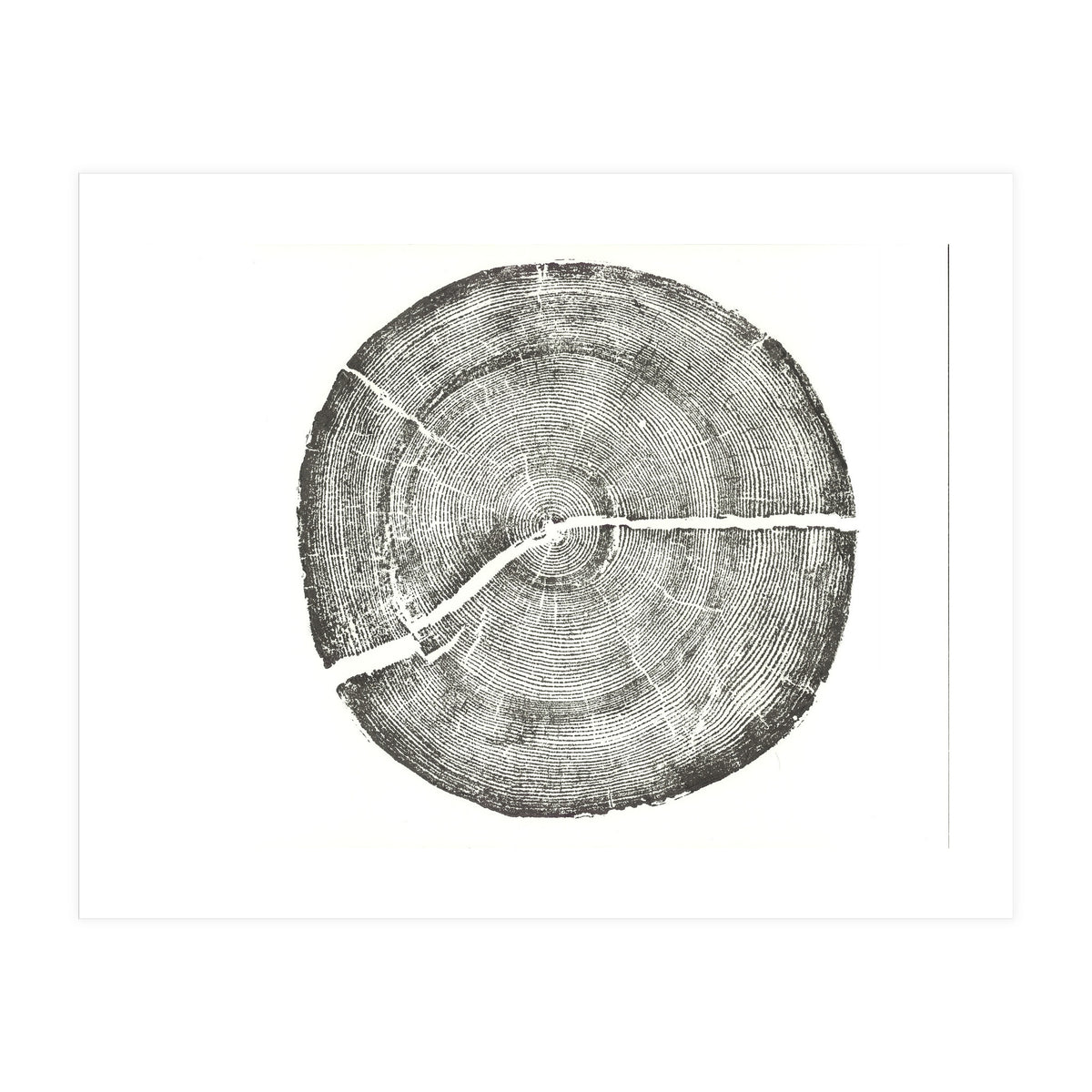 Rock Canyon, Tree Ring Print, Woodblock (Print Only)