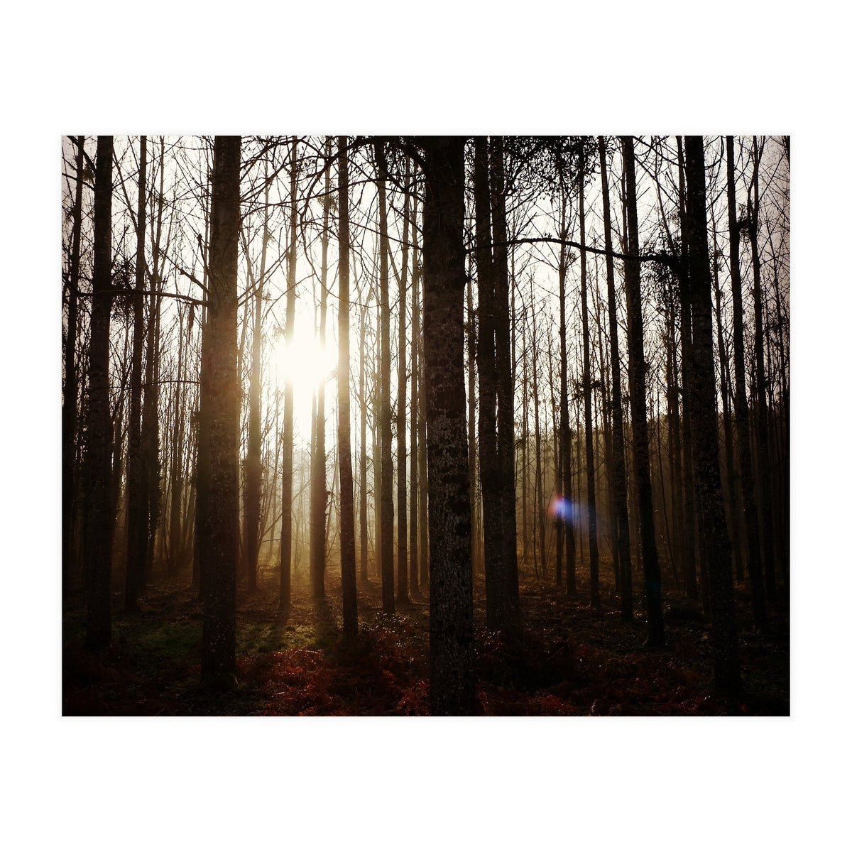 D3 A0 Cf3 E 6509 400 C 926 D 905230 D93 F61 (Print Only)