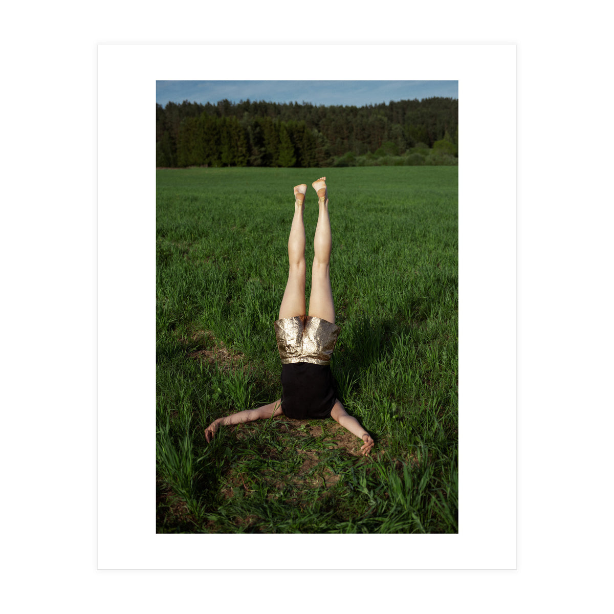 Gravity (Print Only)