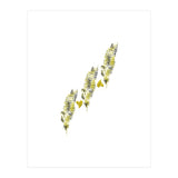 Golden Hearts (Print Only) thumbnail