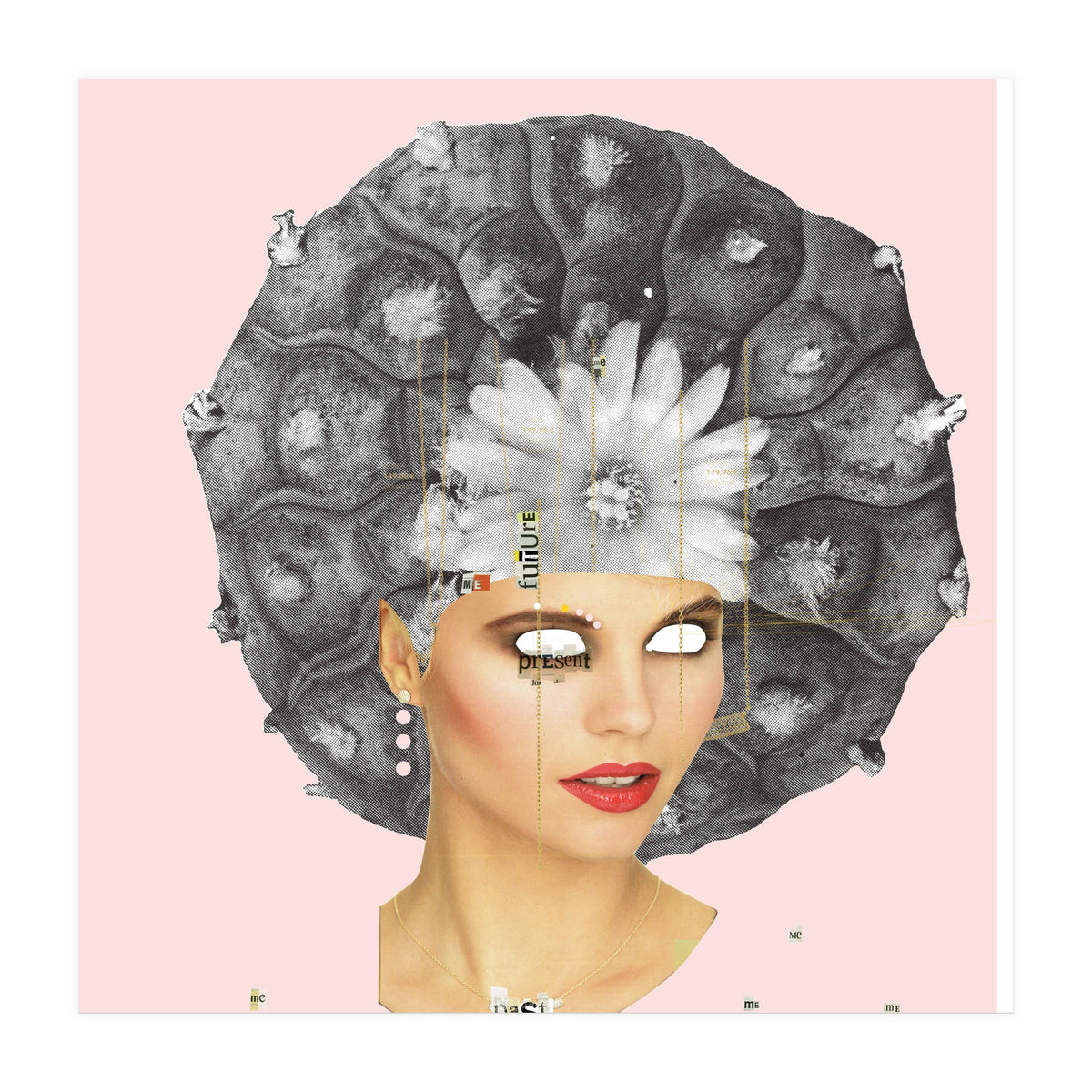 Rosa, Present (Print Only)