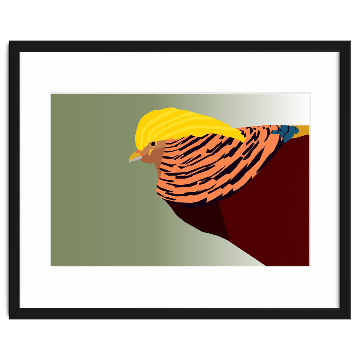 Golden Pheasant Bird Art