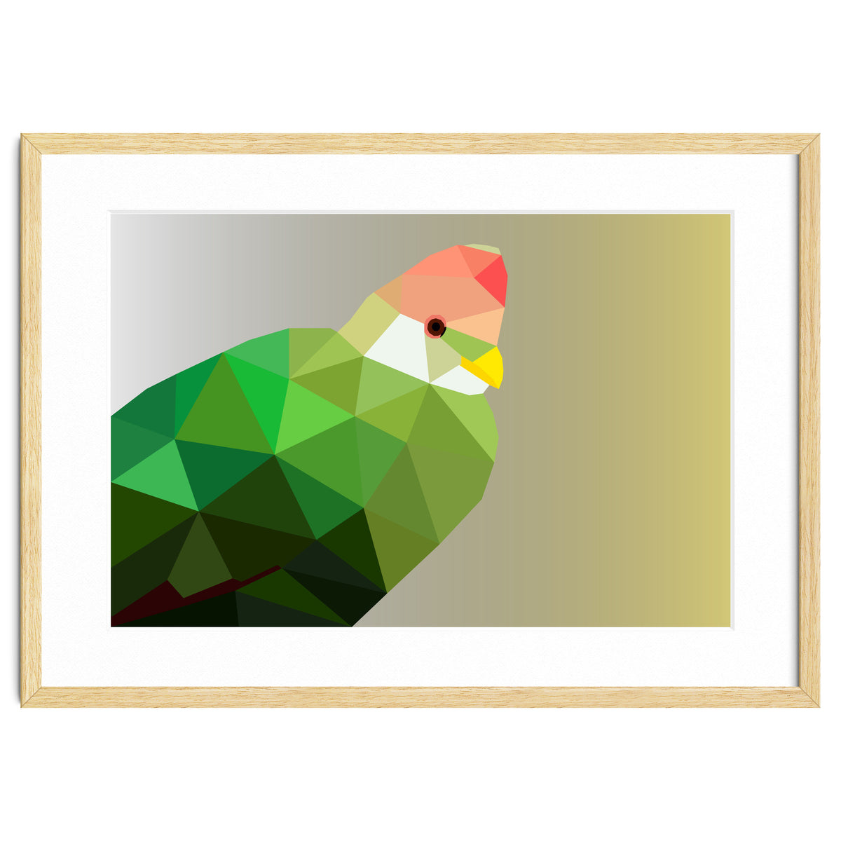 Red Crested Turaco Low Poly Art