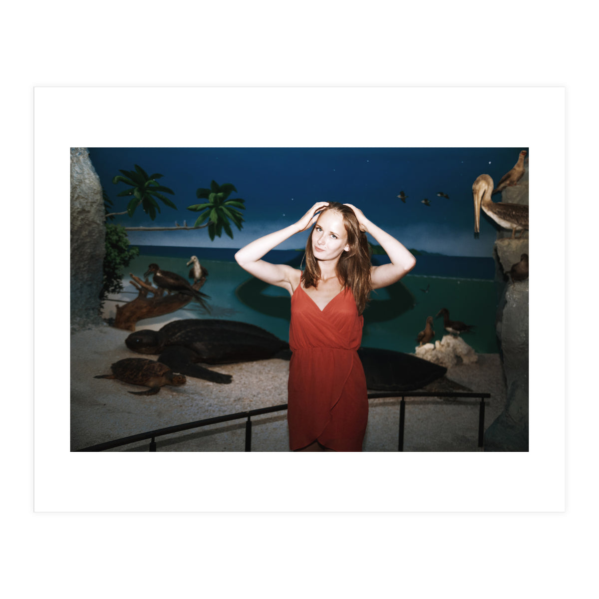 Galapagos (Print Only)