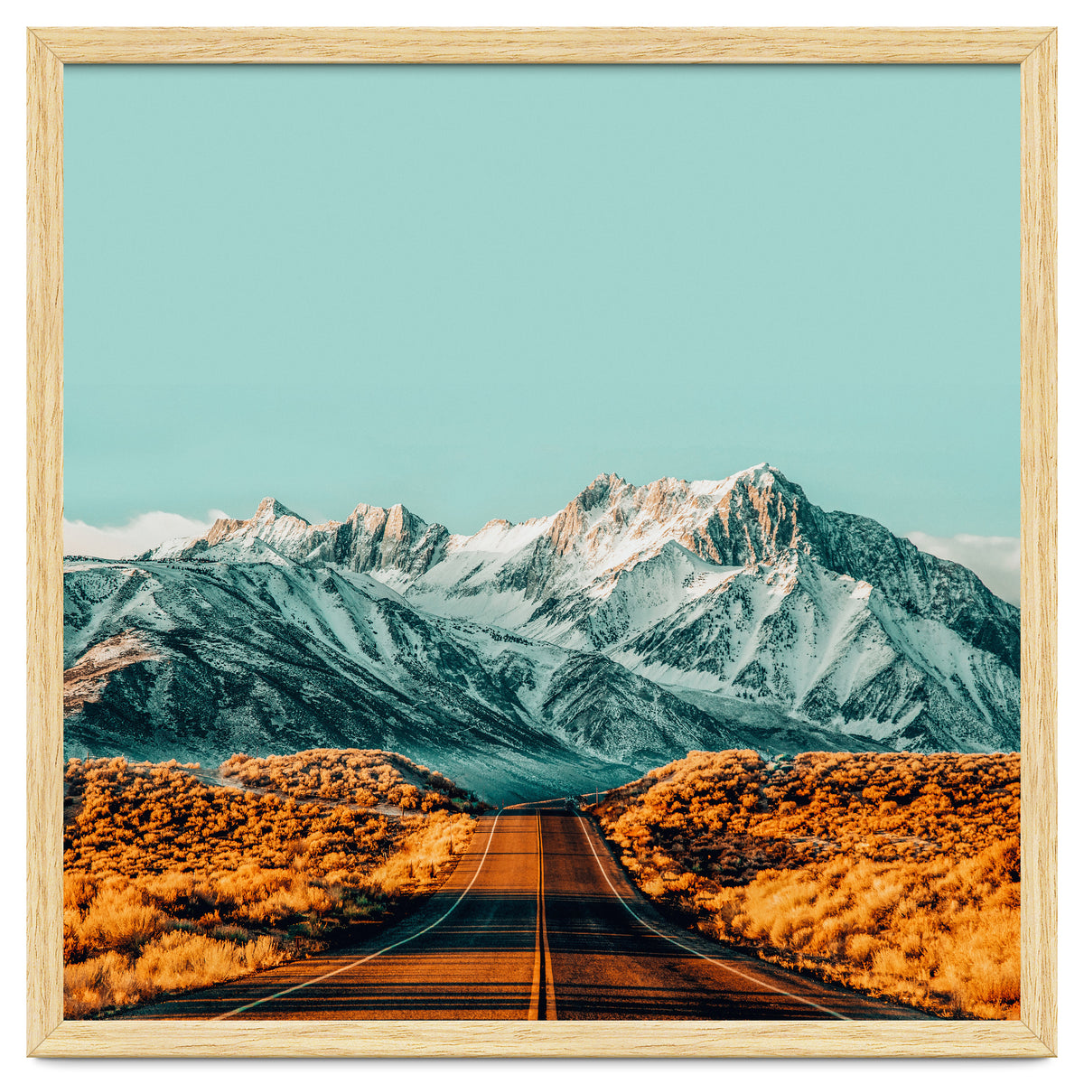 The Road Less Traveled