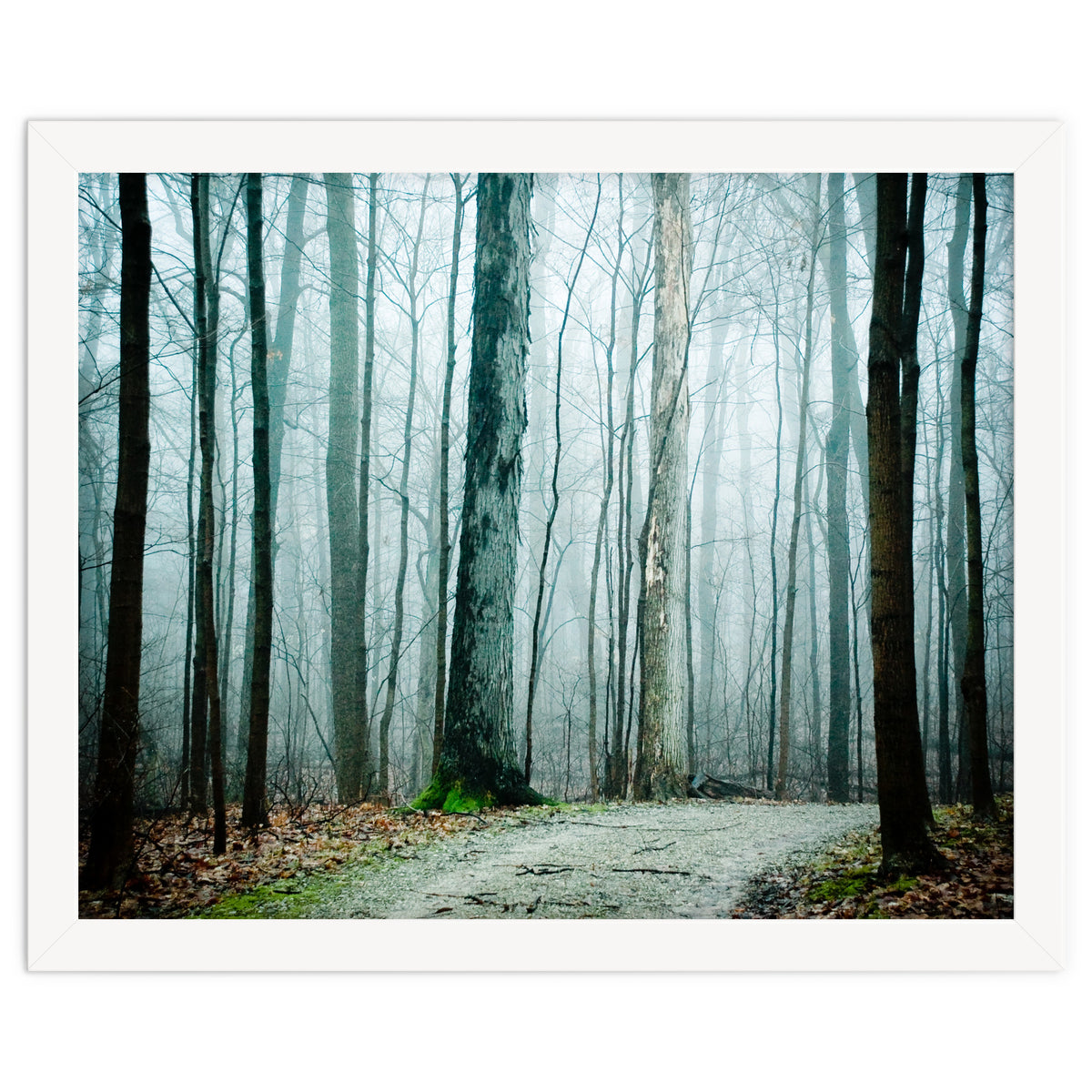 Gather Up Your Dreams