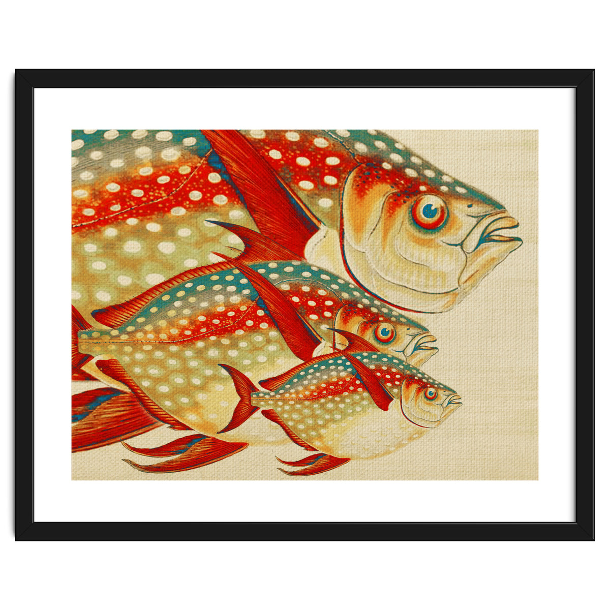 Fish Classic Designs 1