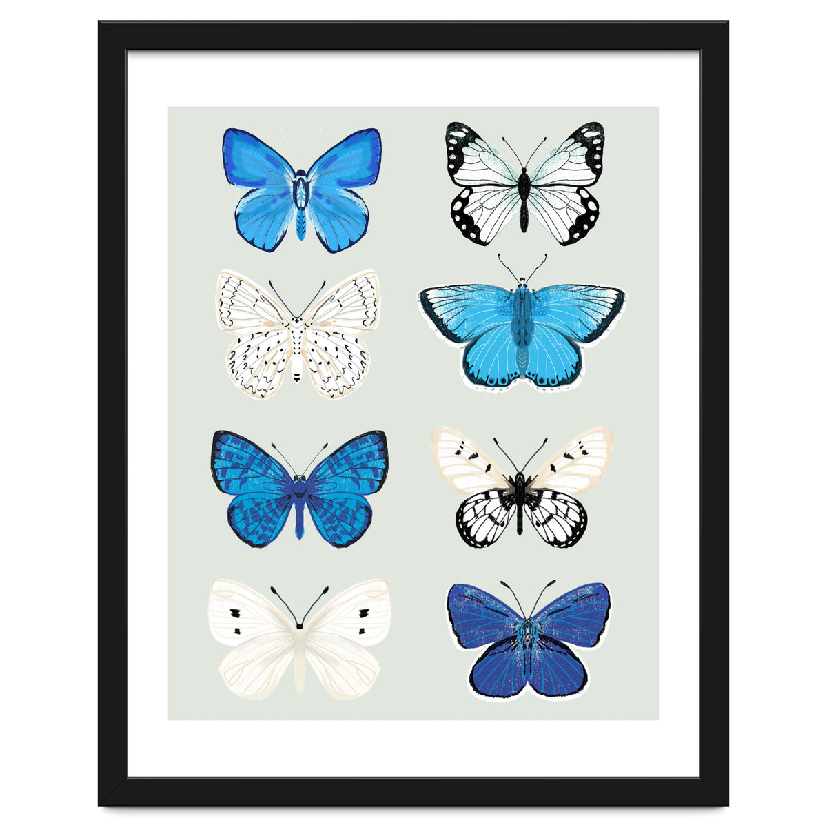 Lepidoptery Study No. 3