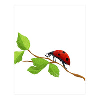 Ladybug (Print Only)