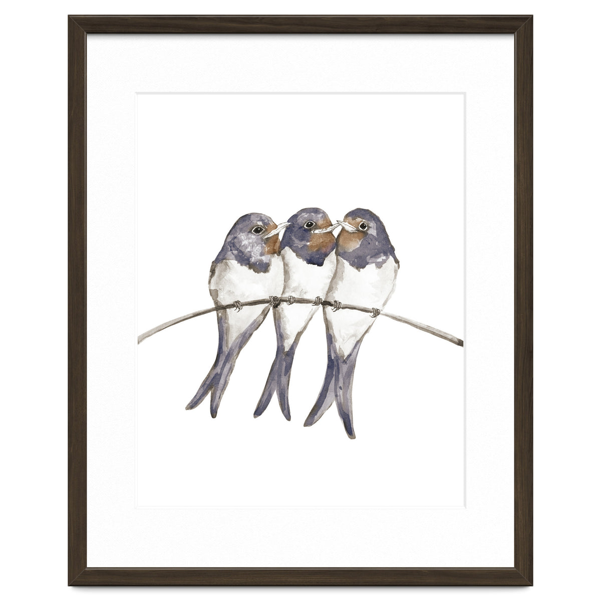 Three young swallows