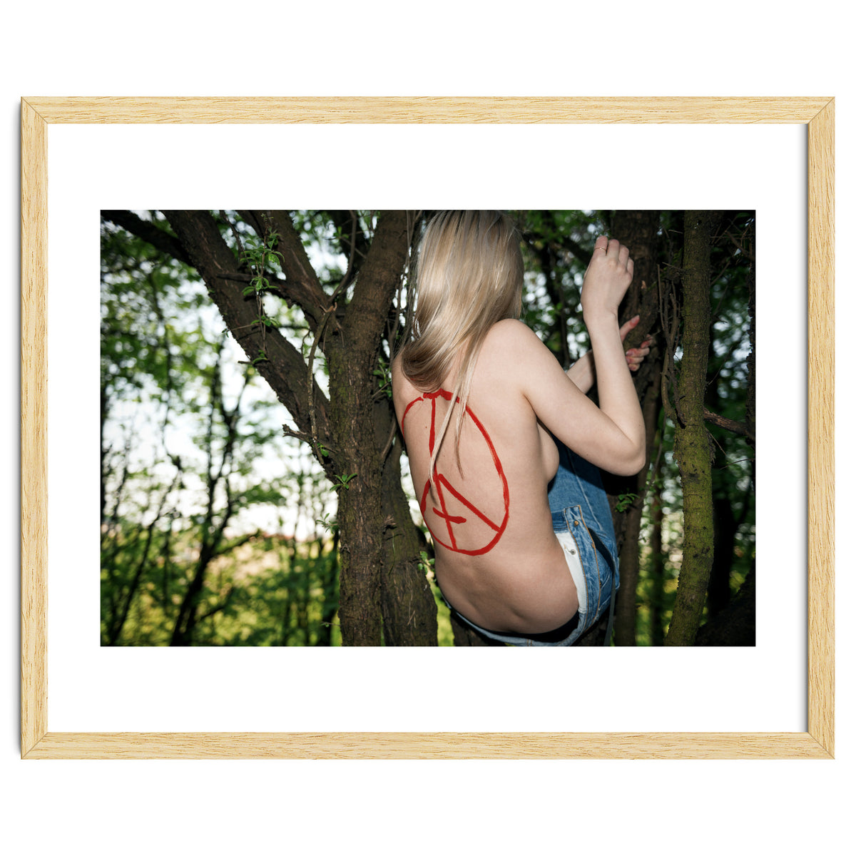 Making home up in a Tree