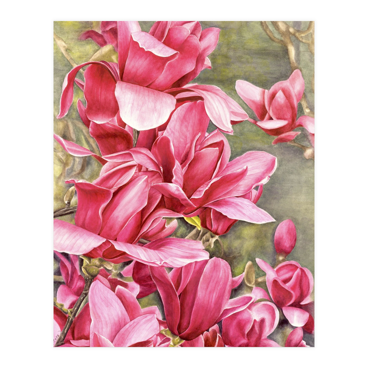 Magnolia 5 (Print Only)