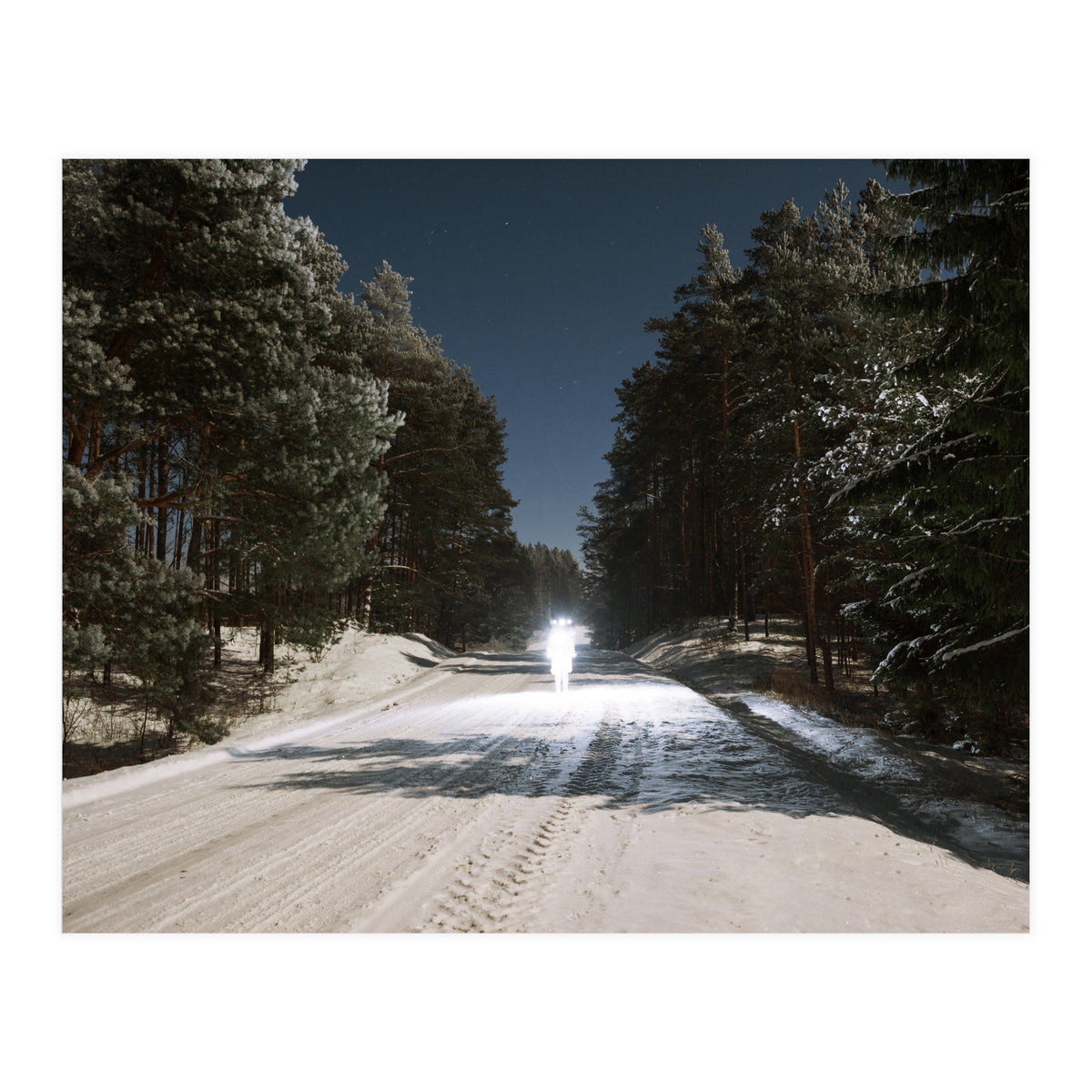 All is Calm, All is Bright (Print Only)