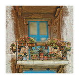 Flowered window in Venice (Print Only) thumbnail