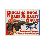 Ringling Bros & Barnum Bailey Circus Advertisement (Print Only) thumbnail