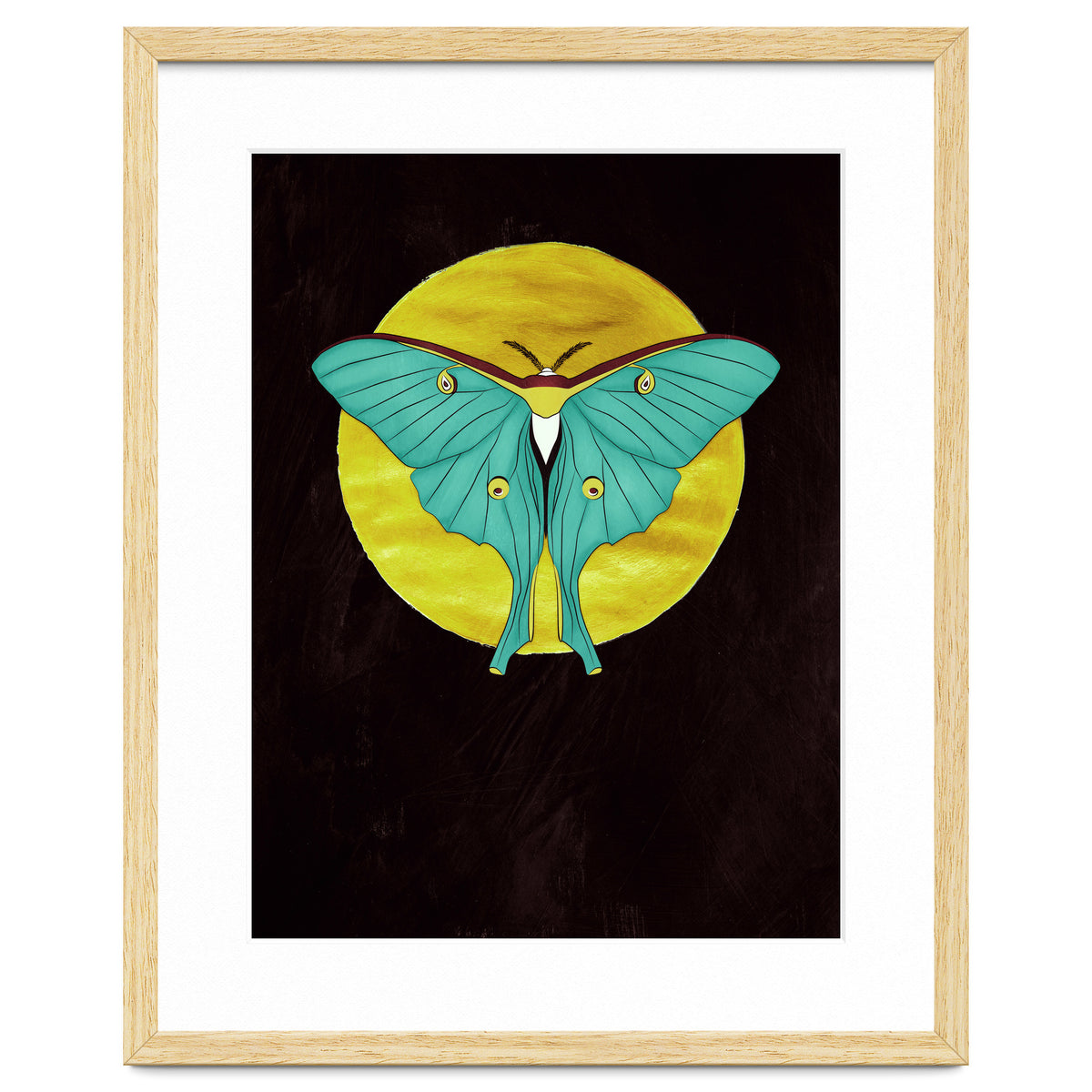 Luna Moth Moon