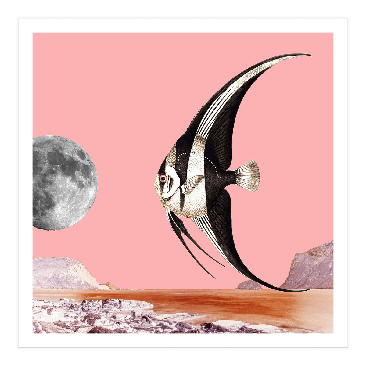 Plenty Of Fish In The Sea Pink (Print Only)