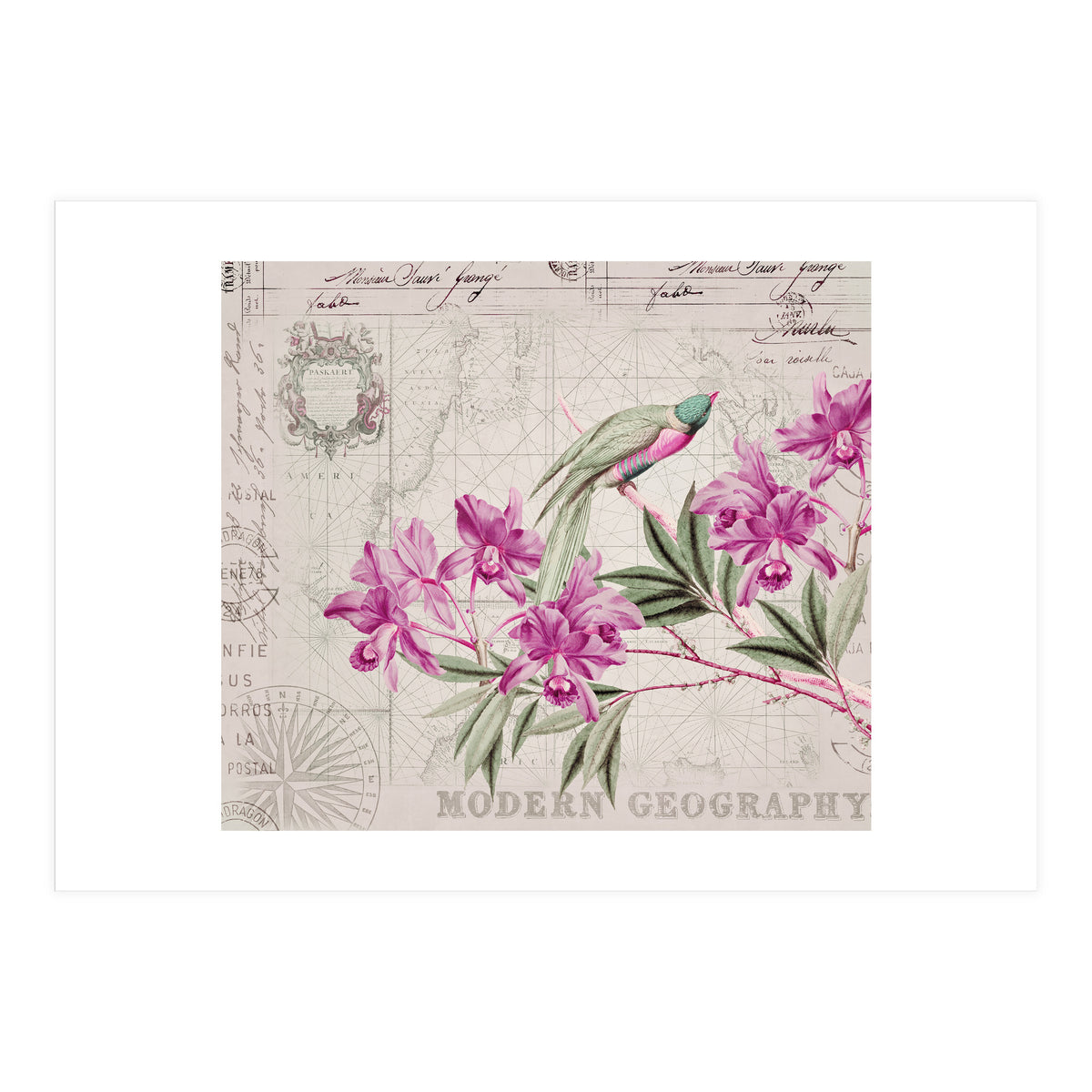 The Birds Voyage Of Discovery (Print Only)