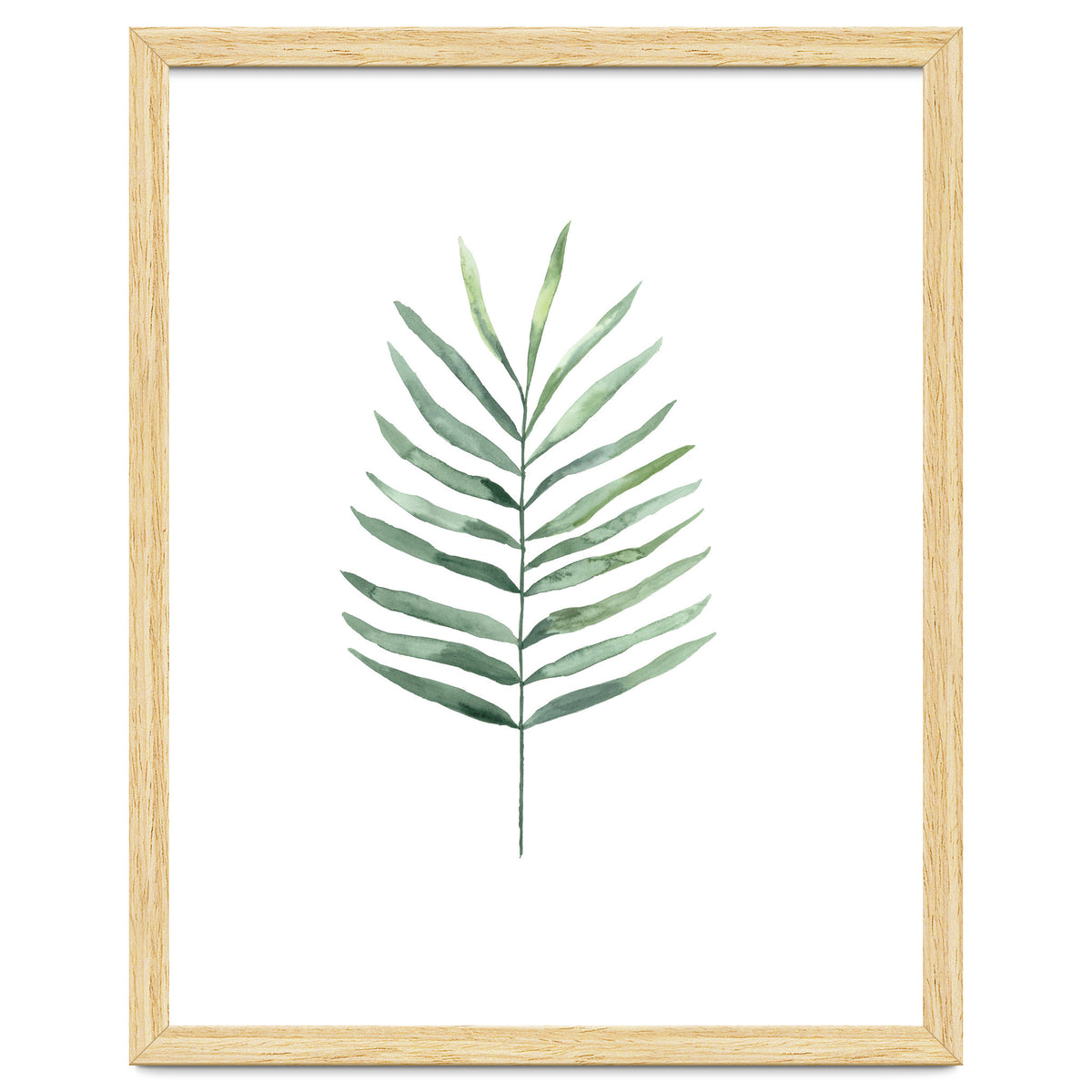 Botanical Illustration Fern