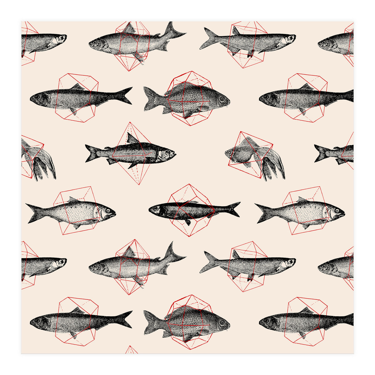 Fish In Geometrics  (Print Only)