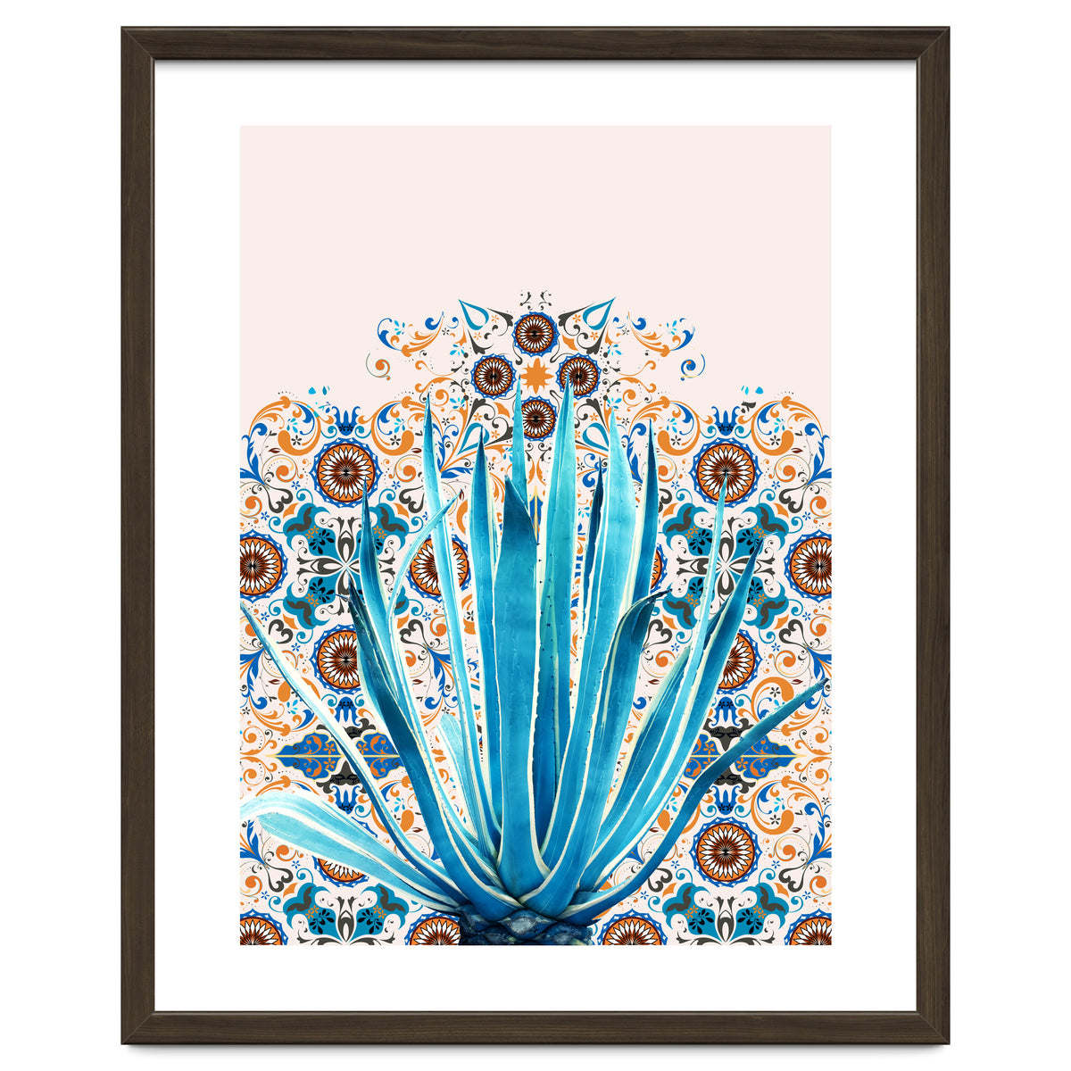 Cactus and Moroccan tiles