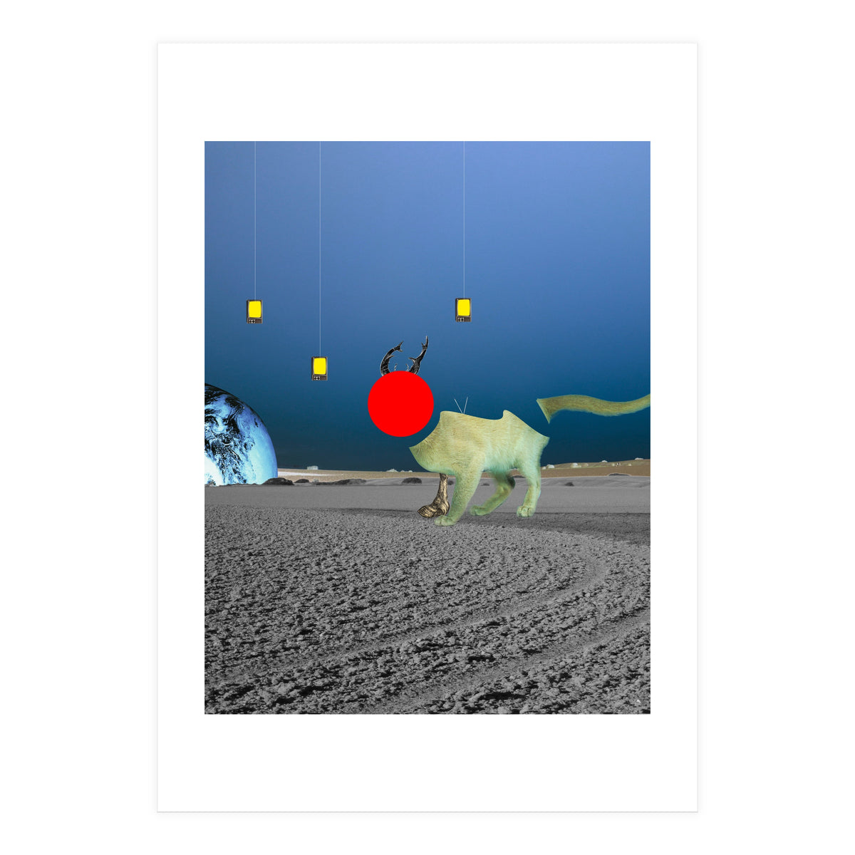 Le Cat? (Print Only)