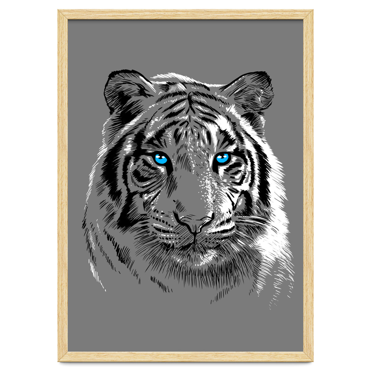 Sketch Tiger