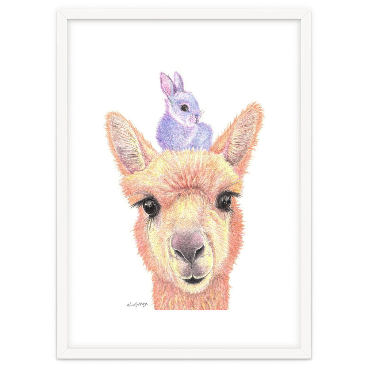 Alpaca and Bunny