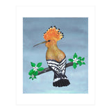 Hoopoe bird (Print Only) thumbnail