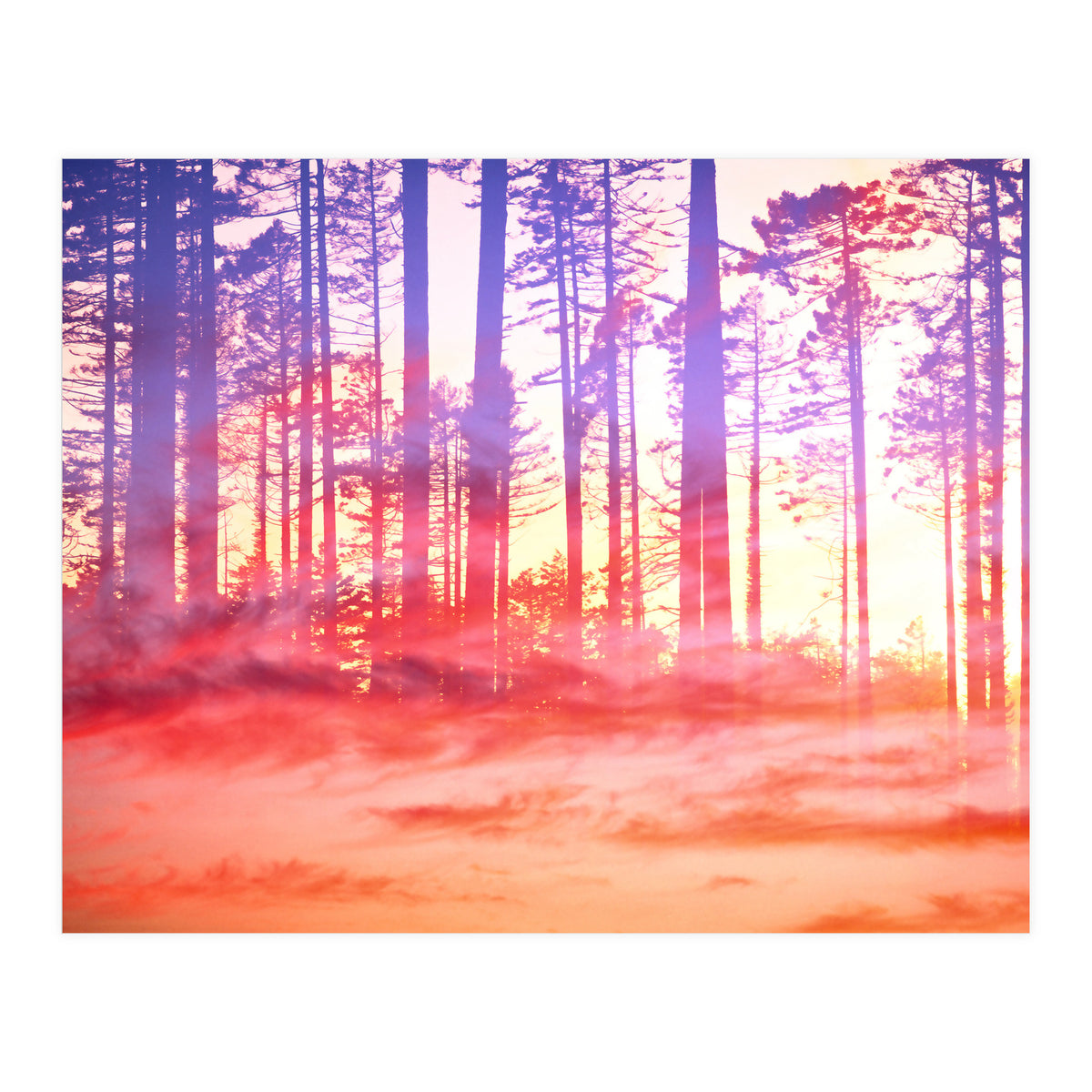 Artistic CVI (Print Only)