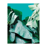 Banana Life (Print Only) thumbnail