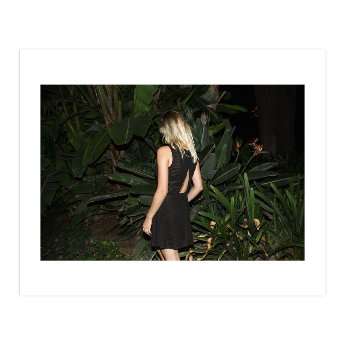 Malaga at Night (Print Only)