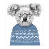 Winter Koala (Print Only) thumbnail