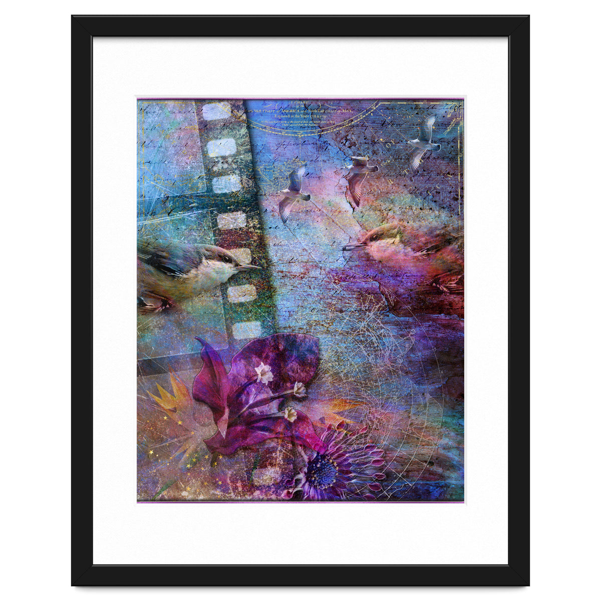 Watching the Wild World