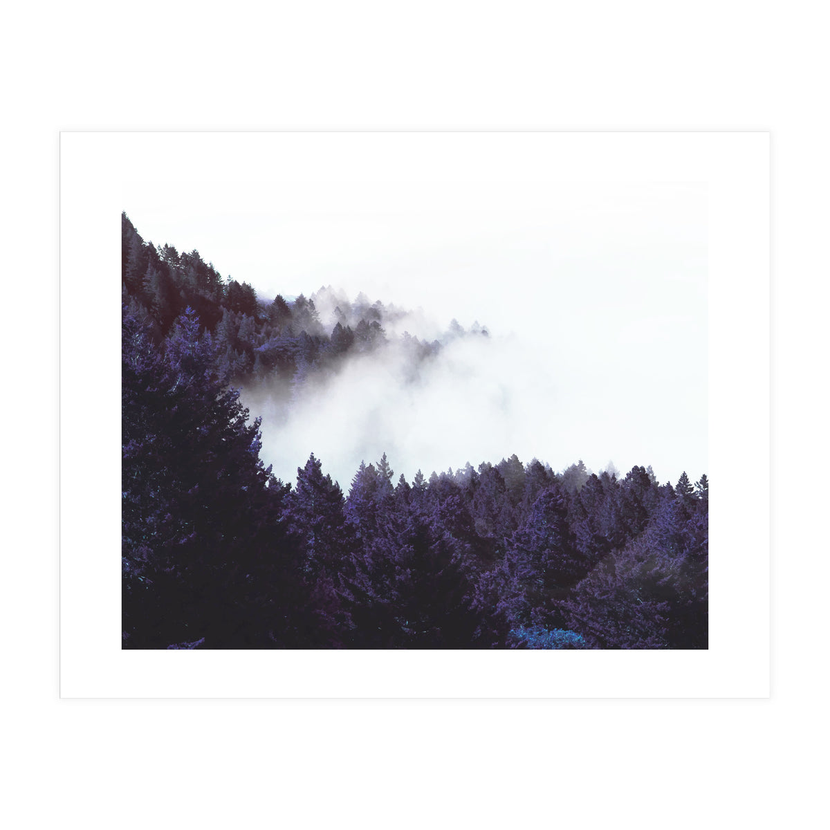 Mystery Fog (Print Only)