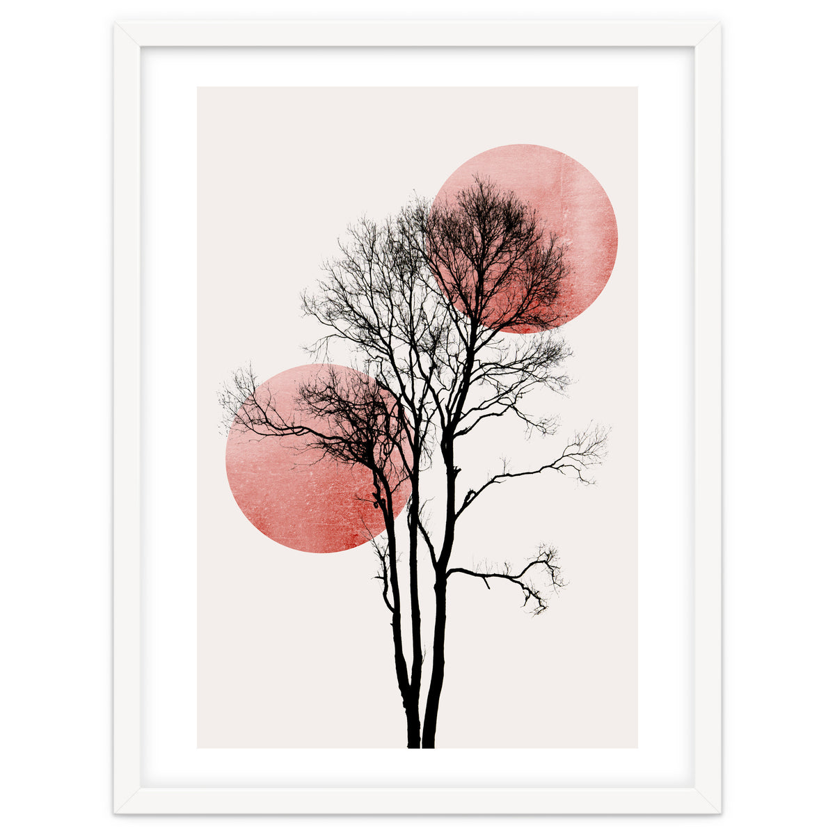 Sun And Moon Hiding Rosè