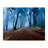 The Road Of Kings (Print Only) thumbnail