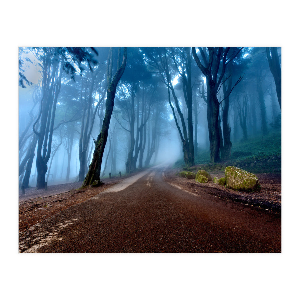 The Road Of Kings (Print Only)