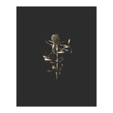 Golden Botanicals (Print Only) thumbnail