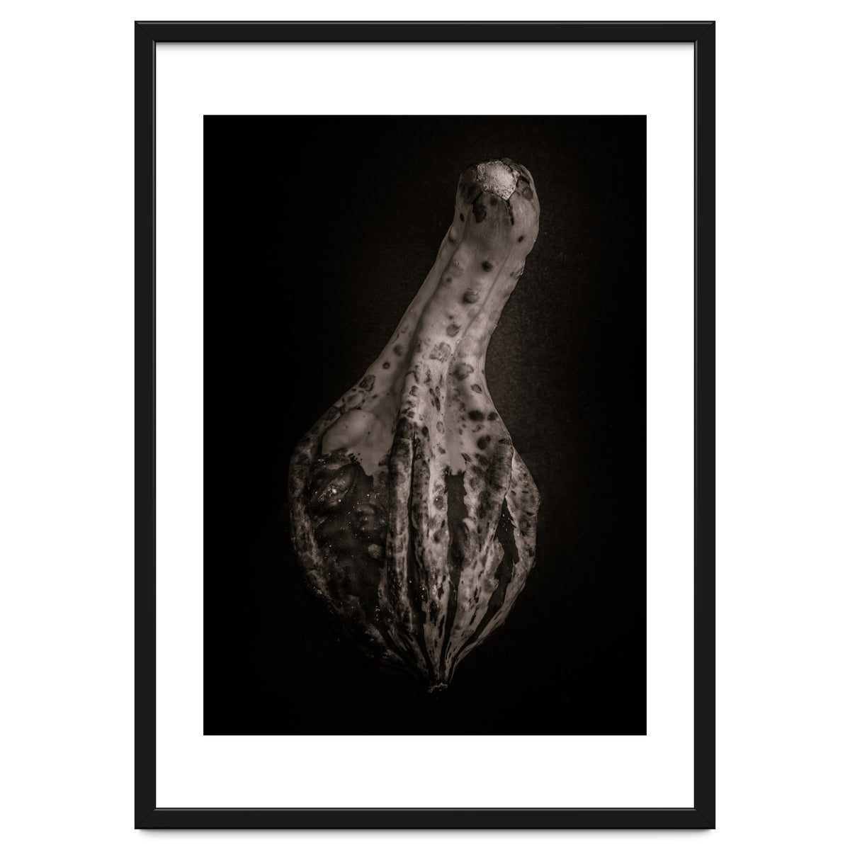 Gourds No 3