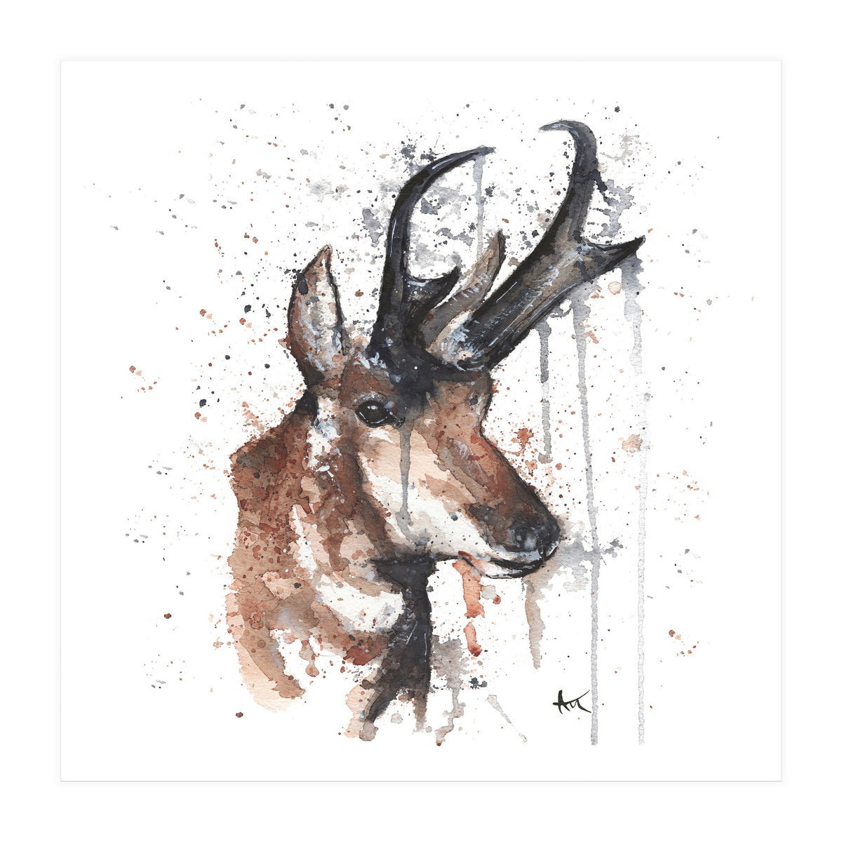 Red deer - Wildlife Collection (Print Only)
