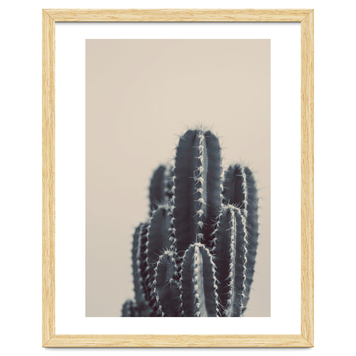 Vintage Cactus #1