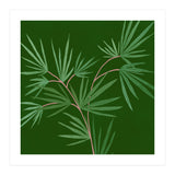 Abstract Palm (Print Only) thumbnail