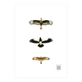 Falconidae n.2 (Print Only) thumbnail
