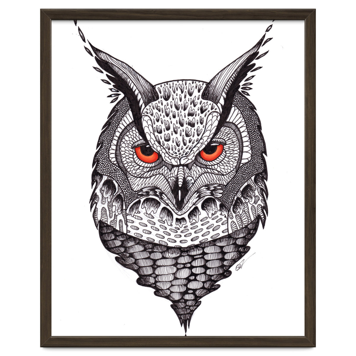 Owl
