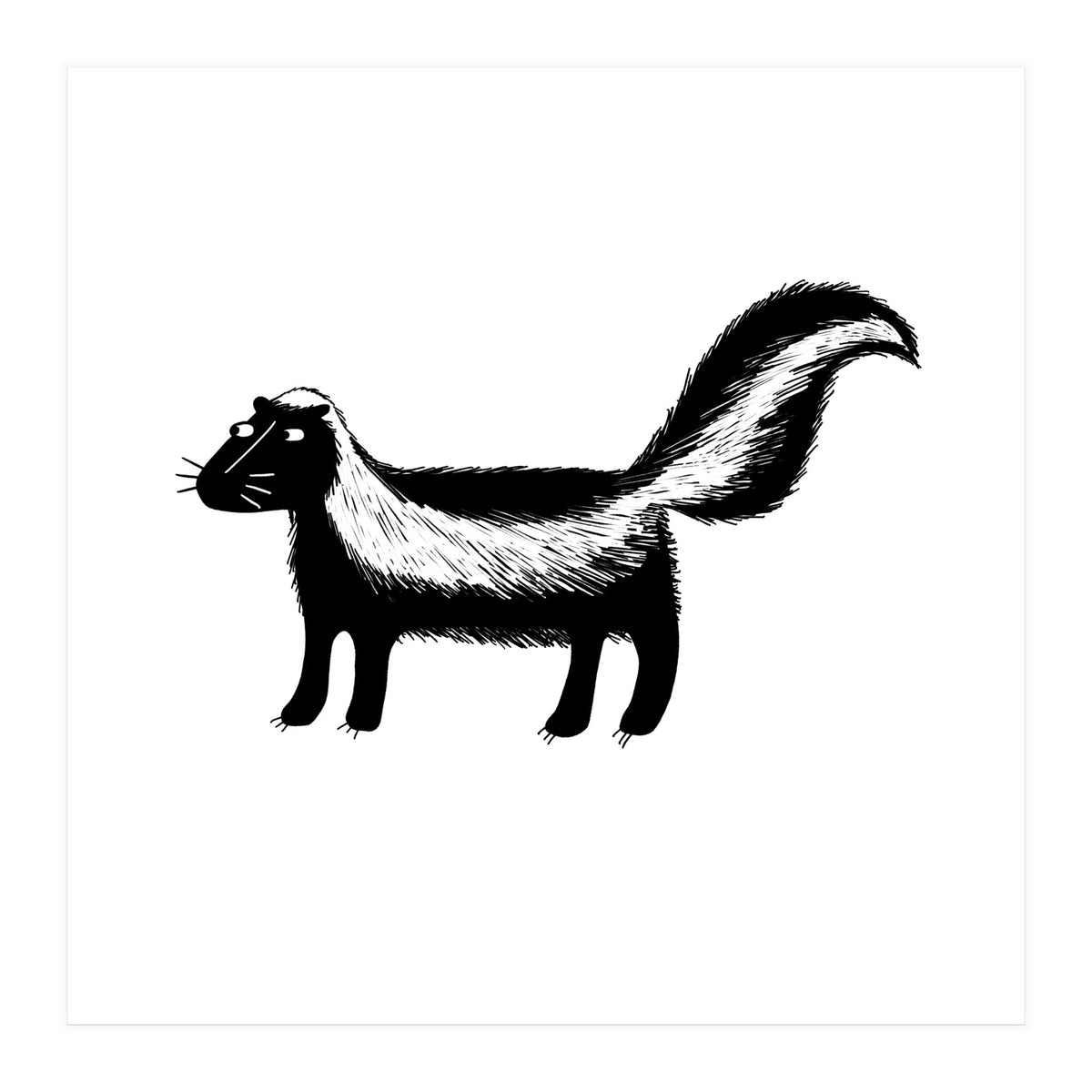 Skunk (Print Only)