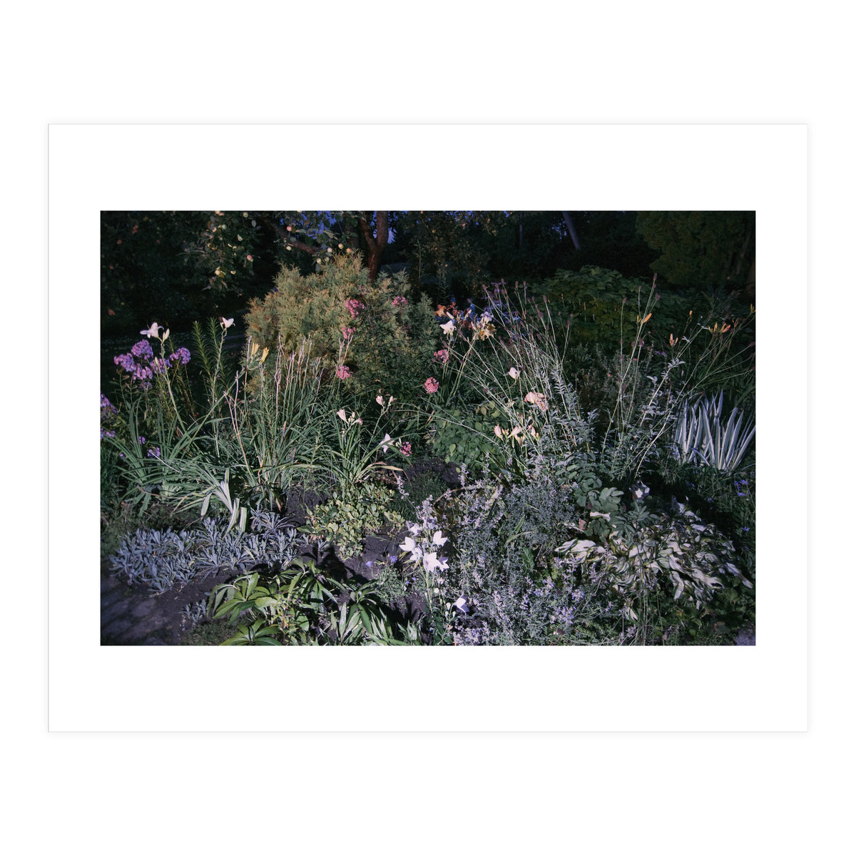 Picture Postcard Perfect (Print Only)