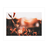 Nature (Print Only) thumbnail