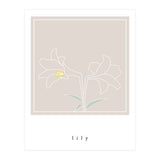 lily flower (Print Only) thumbnail