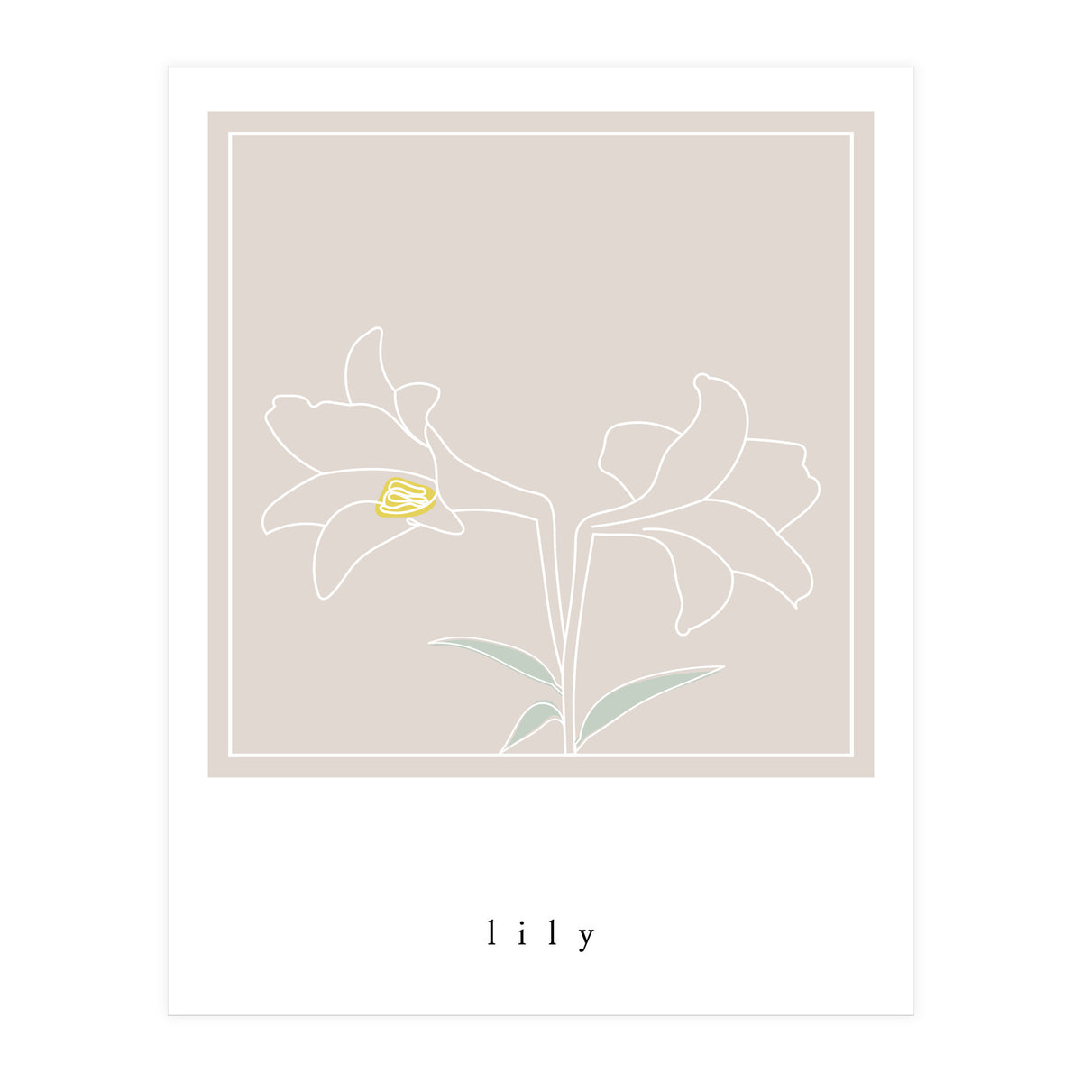 lily flower (Print Only)